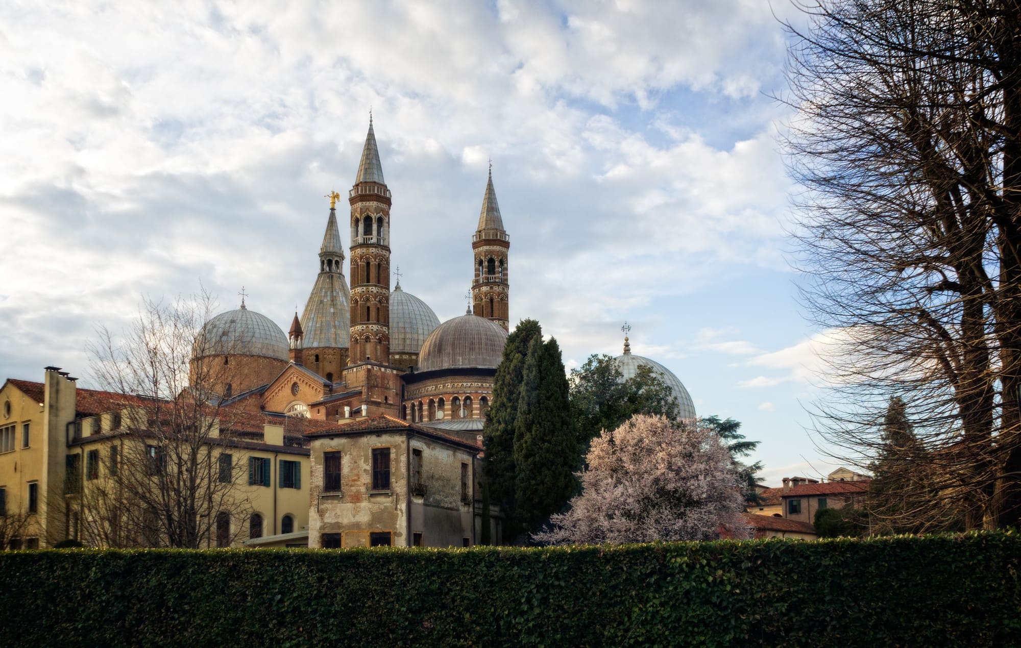 Basilica di Sant'Antonio (Padova) Tiigra via Flickr